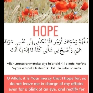 Fundraising Page: Rehana Khan